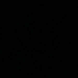 Meet your Posher, Lajayla